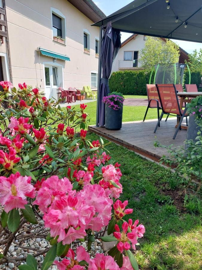 Studio Apartma Zirovnik Cerklje na Gorenjskem Εξωτερικό φωτογραφία