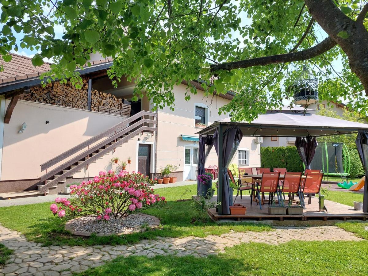 Studio Apartma Zirovnik Cerklje na Gorenjskem Εξωτερικό φωτογραφία
