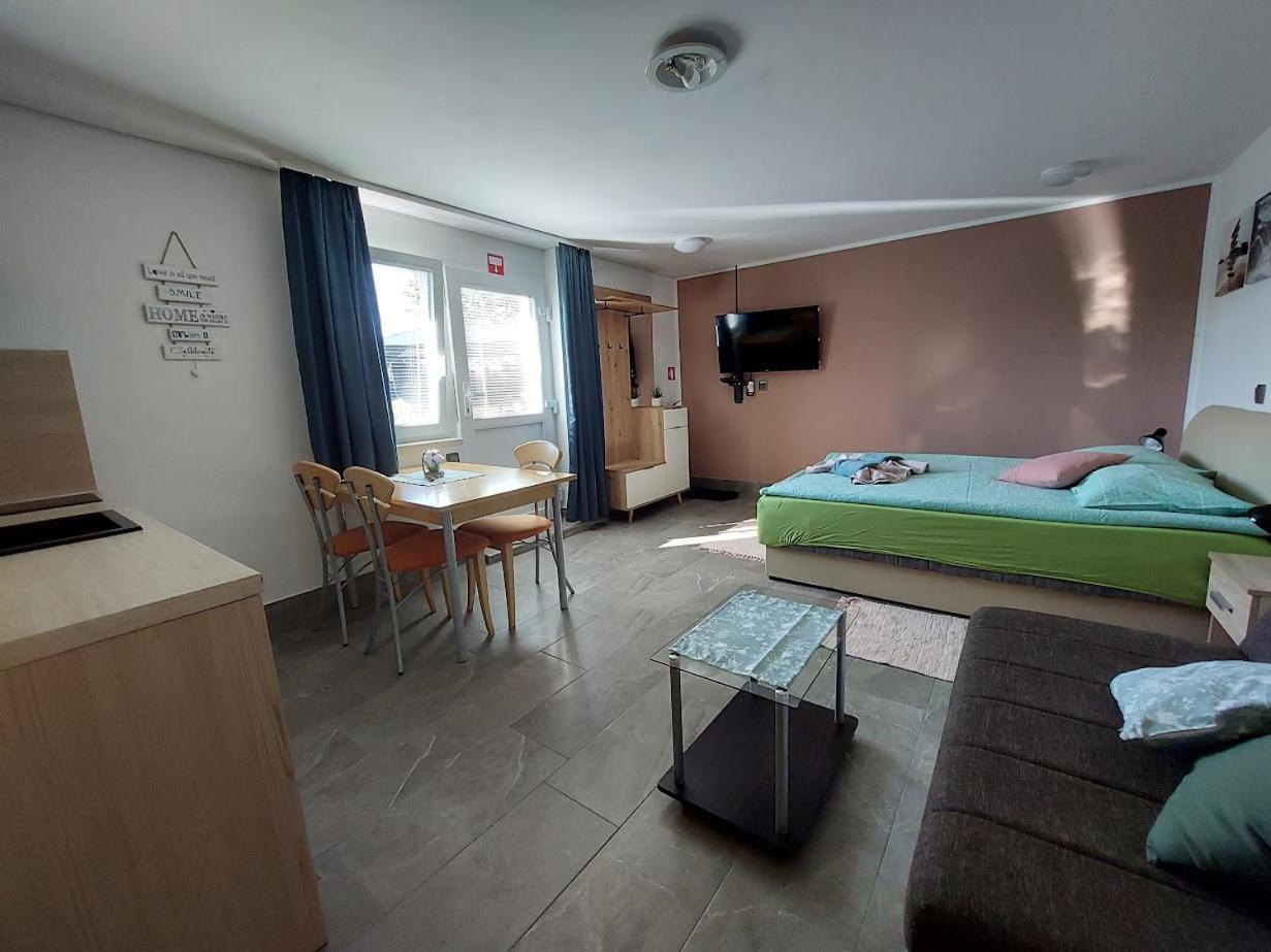Studio Apartma Zirovnik Cerklje na Gorenjskem Εξωτερικό φωτογραφία